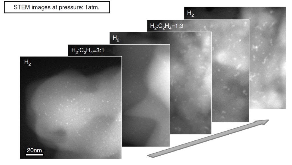 Figure 2C