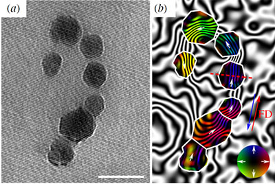 Off-axis electron hologram and magnetic induction map of nanocrystal chain of ruptured bacterium. Image copyright © 2017 The Royal Society Publishing